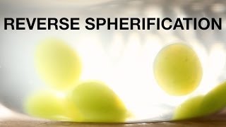 Demonstration of Reverse Spherification [upl. by Perzan164]