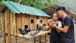 DUNG built a SAI birdhouse to harvest melons to sell at the market and buy pigeons l Lý Thị Sai [upl. by Nirual]