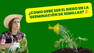 ¿COMO DEBE SER EL RIEGO EN LA GERMINACION DE SEMILLAS 🤔🌱🌳🤠🌟🔥 [upl. by Igor]