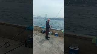 BEYLERBEYİ İSTAVRİT AVI MUHABBET ORTAM SÜPER ANILAR istavritavı fishing [upl. by Leiba981]