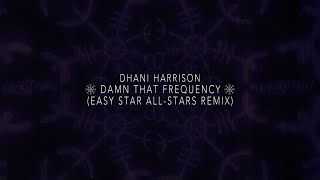 Dhani Harrison  Damn That Frequency Easy Star AllStars Remix Official Audio [upl. by Ciapha610]