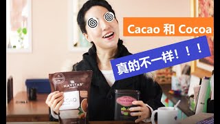 cacao vs cocoa！ 四大差别！看完后觉得这些年的可可粉都喝错了！EP02 [upl. by Nitz614]