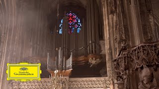 Konstantin Reymaier – Bach Toccata The New Organ at St Stephens cathedral Vienna [upl. by Salena]