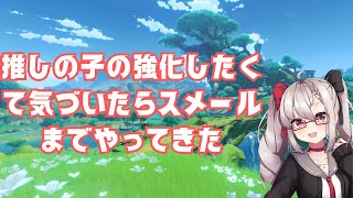 【原神】戦い方とかいまいちわかんないままスメールまでやってきた！ クエスト消化沢山あるので何か進める！！【Vtuber】 [upl. by Shedd907]