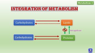 2 Integration of Metabolism  Metabolism2  Biochemistry  NJOY Biochemistry [upl. by Lauter]