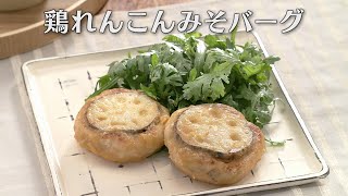 鶏れんこんみそバーグ（2024年11月16日放送）【３分クッキング公式】 [upl. by Llevaj]