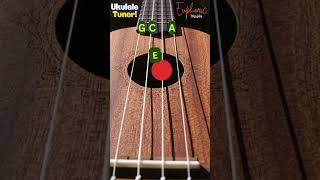 Quick Ukulele Tuning  Tune Your Ukulele in Seconds [upl. by Erik2]