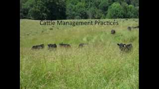 How I have Extended My Grazing Season [upl. by Ylrad]