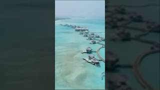 Best resorts to visit during the winter season  Soneva Jani maldives travel maldivesbeachresort [upl. by Irroc]