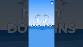 Gangetic River Dolphins  Namami Gange Program  UPSC Facts Revision [upl. by Oicnevuj]