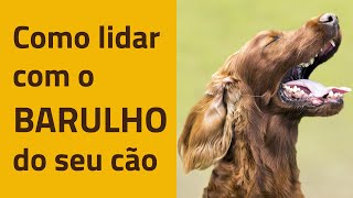 Como adestrar um cachorro para NÃO SER BARULHENTO [upl. by Buddy]