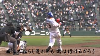 オリックス・バファローズ SKY PV 2013（歌詞あり） [upl. by Goodhen]