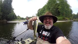 Satsop River East Fork June 2019 [upl. by Schiro773]