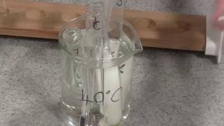 Enzyme Rate of Reaction Trypsin [upl. by Bracci]