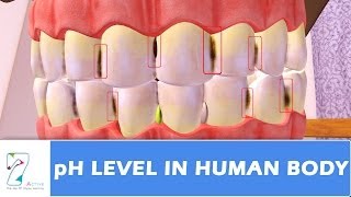 pH Level in human body [upl. by Hareemas]