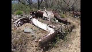 Buried Classic Cars in Arizona River Bank Slideshow [upl. by Hewe]