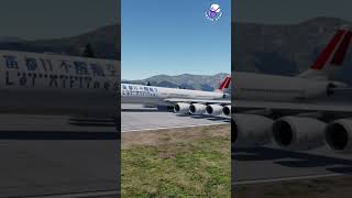 Emergency Landings  Runway Has ENDED  Engines Failed  Airplane Crashes  Besiege plane crash [upl. by Aenil]