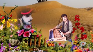 BR SALMAN SABIR Sang شریف زاھد [upl. by Lodhia577]