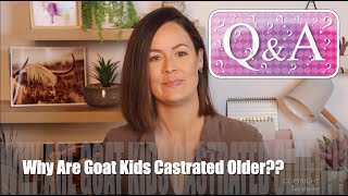 Why do we castrate goats so much older than lambs  Sez the Vet [upl. by Eivla531]