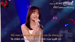 Vietsub Âm Thanh Của Tuyết Rơi  Tần Lam Chào đón năm mới 2019 ĐTH Hồ Nam [upl. by Vinita715]