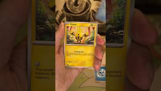 What a find ptcg pokemon [upl. by Jehial]