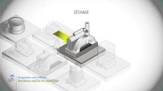 Amidons natifs et modifiés [upl. by Annawak]