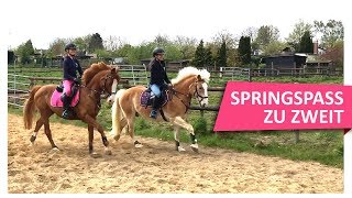 ON TOUR bei Majas Vlogs ⭐️ Mega Spaß ⭐️ beim Springen 🐎 [upl. by Razal]