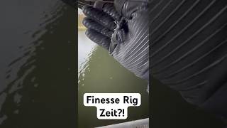 Ist schon JETZT Finesse Rig Zeit  Barschangeln in Berlin  barsch angeln finesse [upl. by Eyak23]