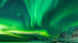 Ein Traum wird wahr Polarlichter live sehen Lofoten im Februar 2022 [upl. by Anivas]