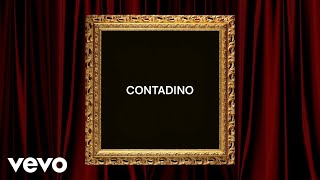 Articolo 31  CONTADINO Lyric Video [upl. by Maddeu9]