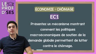 BAC EC1 corrigées  Comment les politiques de soutien de la demande luttent contre le chômage [upl. by Willabella]