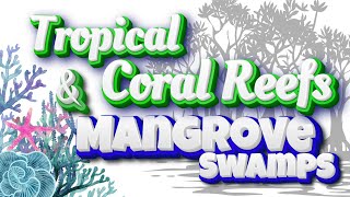 Tropical Coral Reefs amp Mangrove Swamps Science 6 Quarter 2 [upl. by Westney]