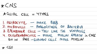 Physiology Rapid Revision  Fmge amp Mbbs Students  physiology neet mbbs fmge medical student [upl. by Kellia]