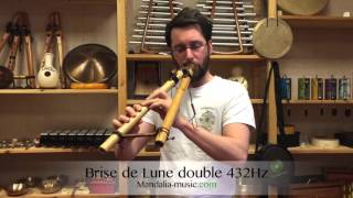 Double flûte  Brise de Lune double 432Hz [upl. by Malachy]