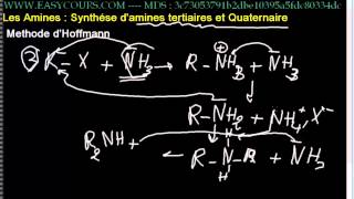 5 Methode de Hoffmann amines III et IV [upl. by Euqnimod653]