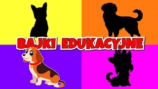 Filmy edukacyjne po polsku  Pieski  Bajki dla dzieci [upl. by Brad]