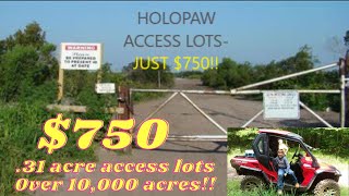 750 per 31 acre access lot in Holopaw FL provides access to 10000 acre recreation property [upl. by Yul]