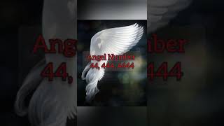 Angel number 44 444 4444 in Hindi  Master number 44  bar bar dikhayi deta hai short Numerology [upl. by Lindberg735]