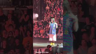 Billie Eilish Hit Me Hard And Soft Tour Day 3 Fan Appreciation [upl. by Laamak]