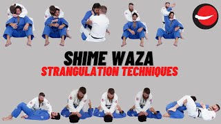 Shime Waza  Strangulation Techniques [upl. by Hilly]