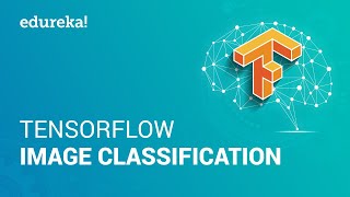 Tensorflow Image Classification  Build Your Own Image Classifier In Tensorflow  Edureka [upl. by Natividad]