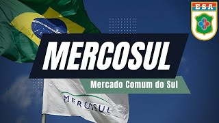 Mercosul e sua formação [upl. by Angy514]