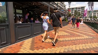 Auckland City Downtown  Silent Walking Tour [upl. by Wood]