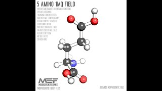 5 Amino 1MQ  Patreon Morphic Field Patreon [upl. by Bullis323]