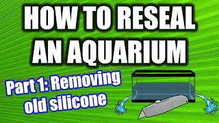 How to Reseal an Aquarium and Make it Rimless  Part 1 Removing Silicone and Disassembly [upl. by Izogn]