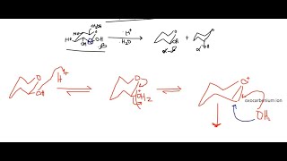 Mutarotation  carbohydrates 3 [upl. by Margaretta910]