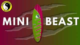 Most Popular amp Versatile Surfboard of 2023  The Mini Beast [upl. by Drawdesemaj747]