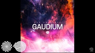 Gaudium  Our Universe [upl. by Nonez]