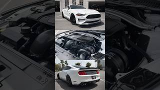 🔥PROCHARGED🔥2019 FORD MUSTANG GT PREMIUM MANUAL V8 50L✅ mmc mcallen mustanggt procharged [upl. by Jadda309]