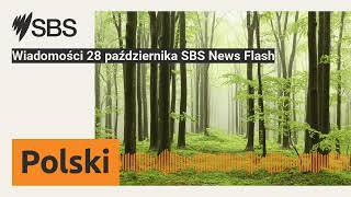 Wiadomości 28 października SBS News Flash  SBS Polish  SBS po polsku [upl. by Akirdnuhs307]